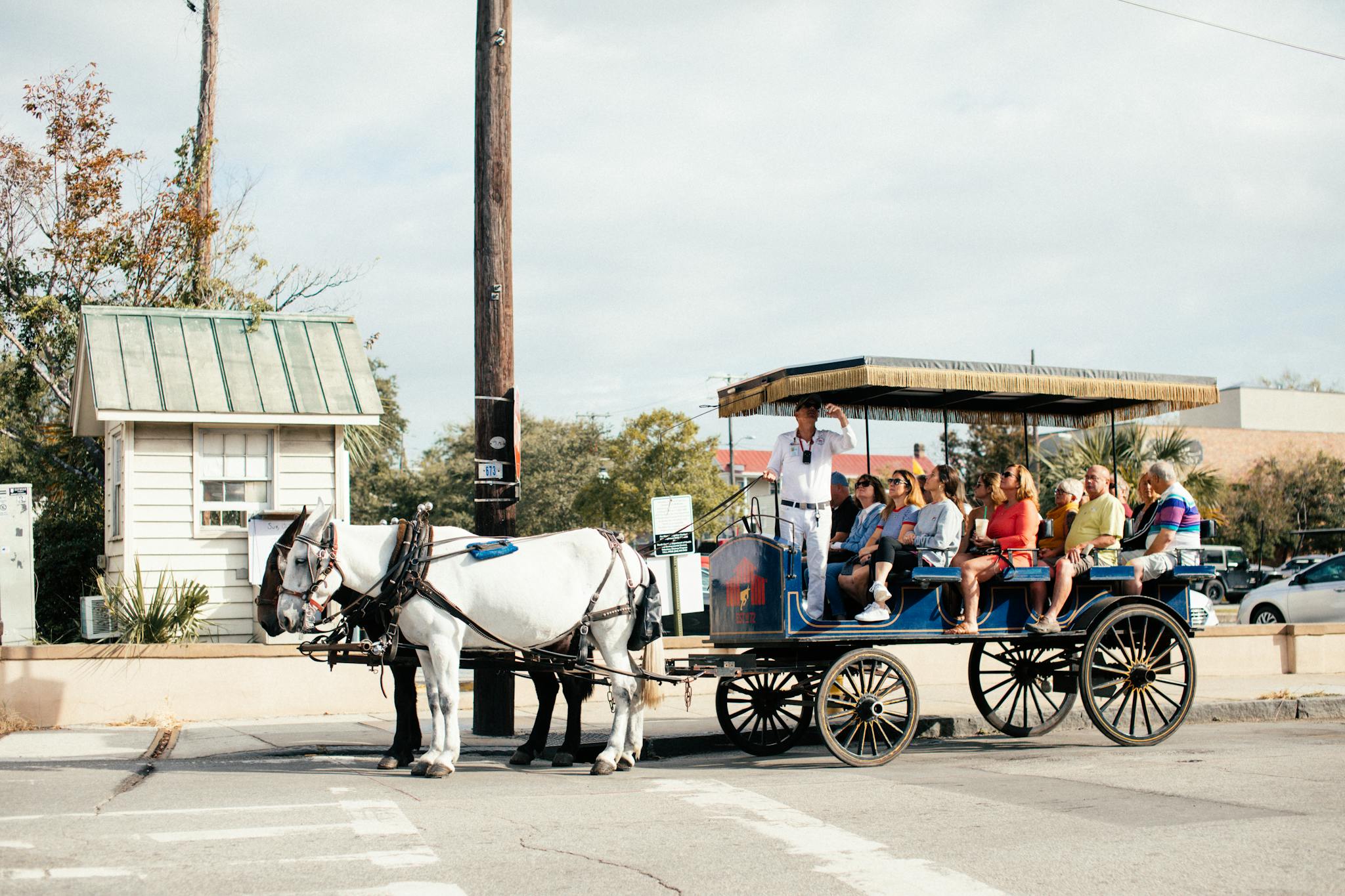 Tourists enjoy a scenic horse-drawn carriage ride through the city, guided by an experienced tour guide.